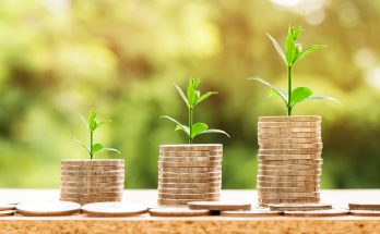 7 Smart Ways to Grow Your Wealth With Your Savings in 2024