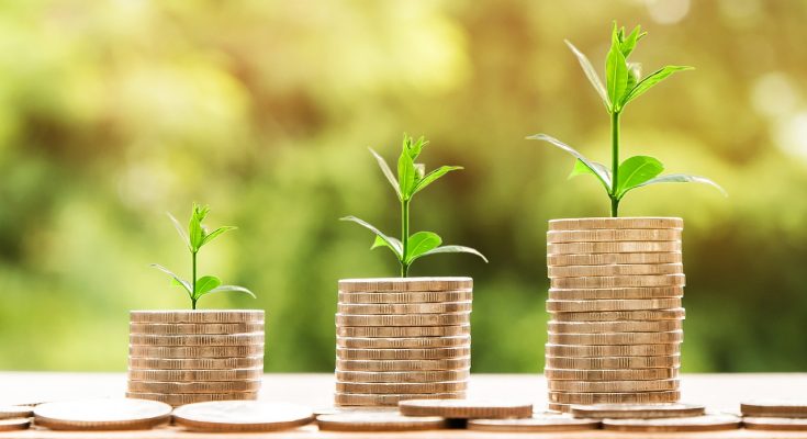 7 Smart Ways to Grow Your Wealth With Your Savings in 2024